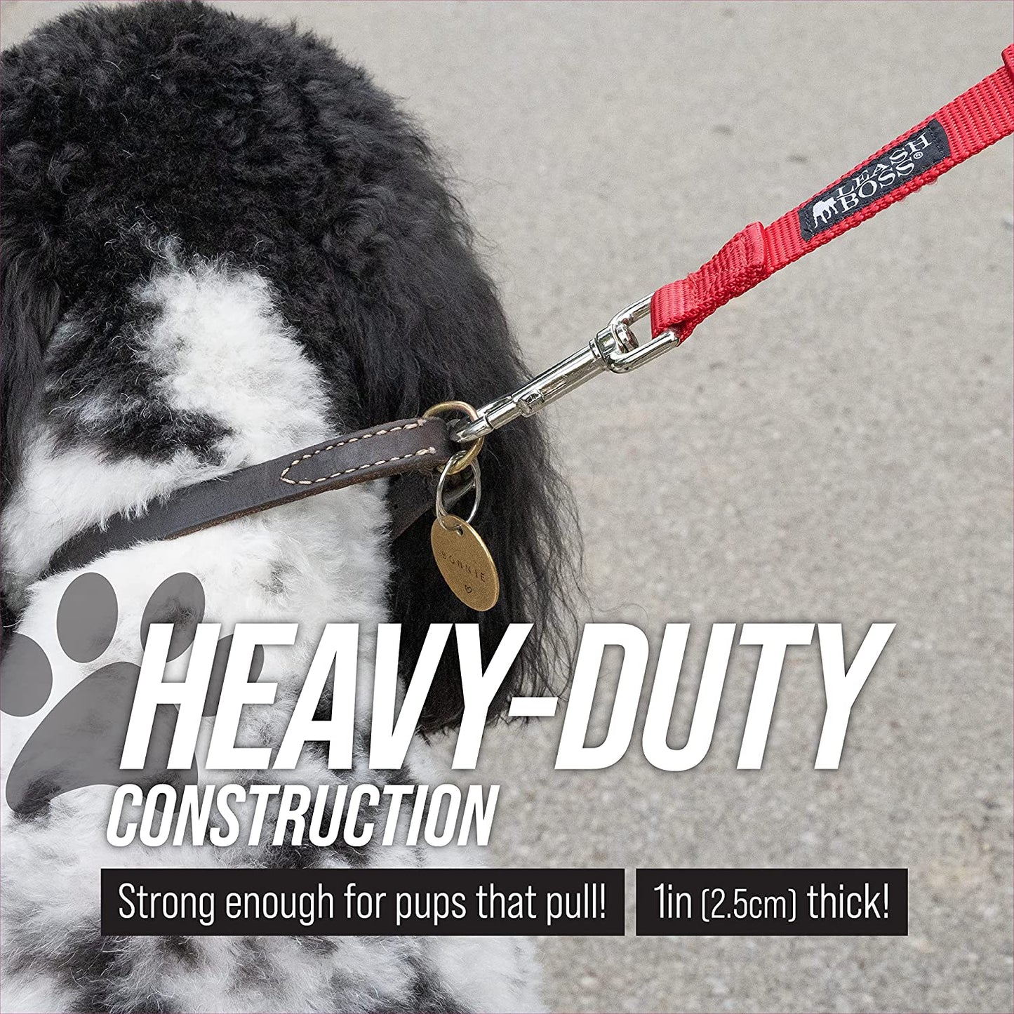 Dog Leash Training Loop