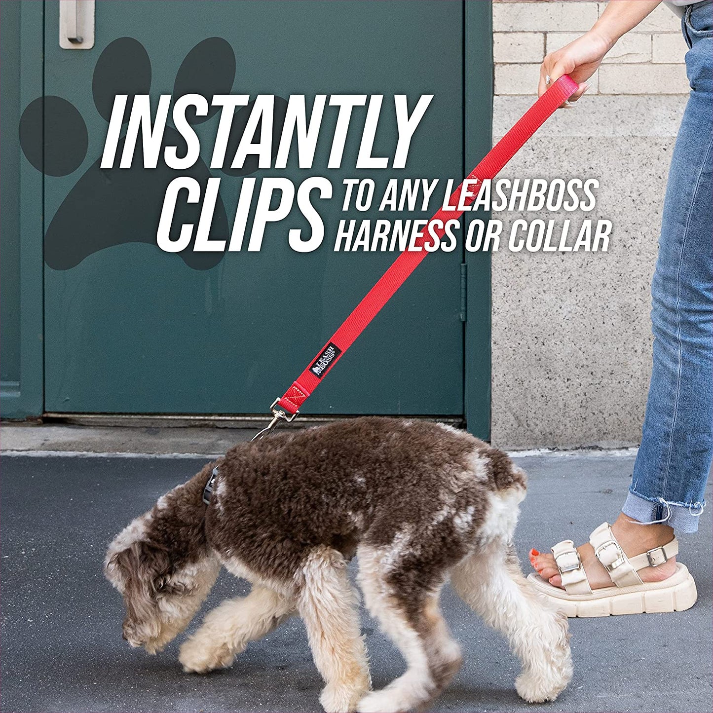 Dog Leash Training Loop
