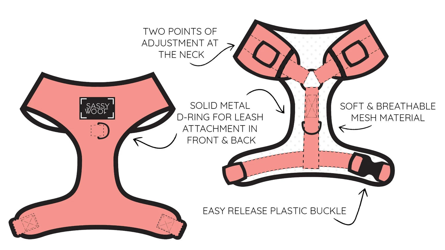 Four Piece Bundle Harness/Leash/Collar/Bag Holder