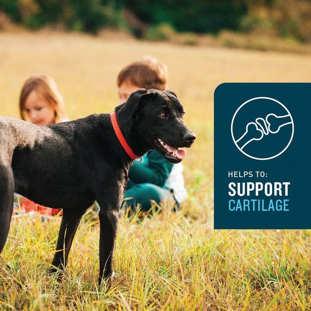 (3 Pack) Hip & Joint Supplement for Dogs