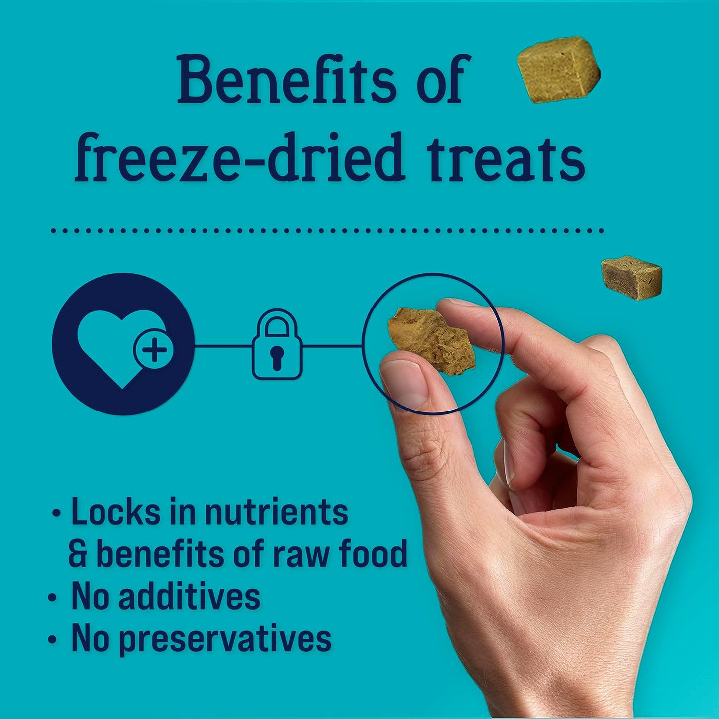 Freeze Dried Dog Treats