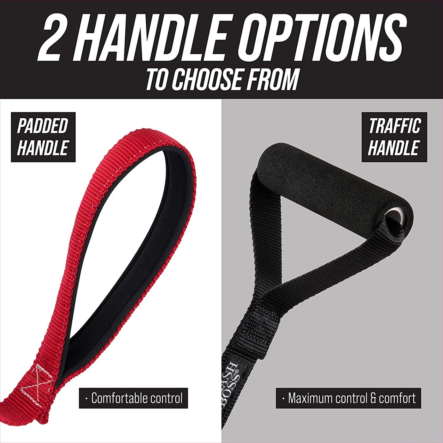 Dog Leash Training Loop
