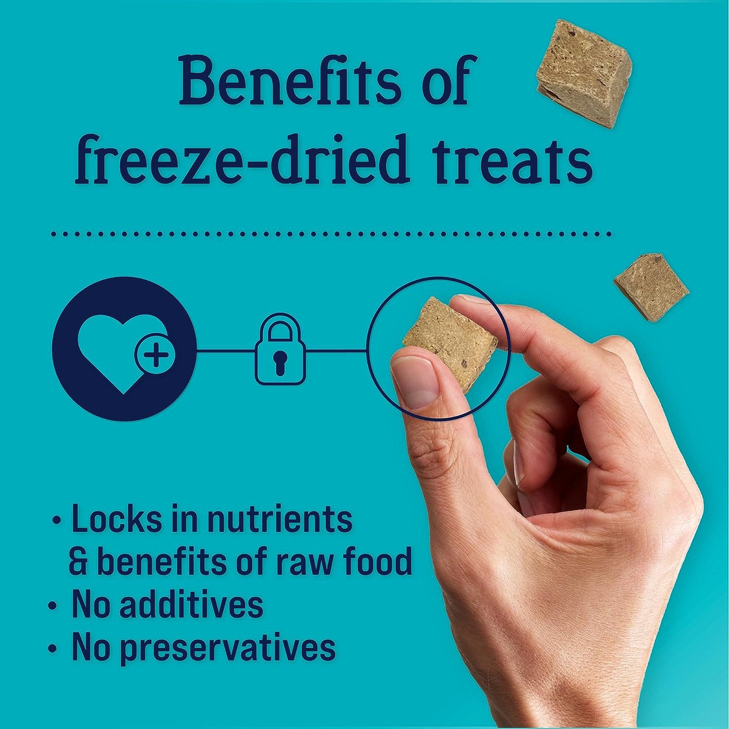 Freeze Dried Dog Treats, Beef Liver, Grain Free & Gluten Free, 14 Ounce Resealable Tub, Single Ingredient, Made in USA, Dog Training Treats