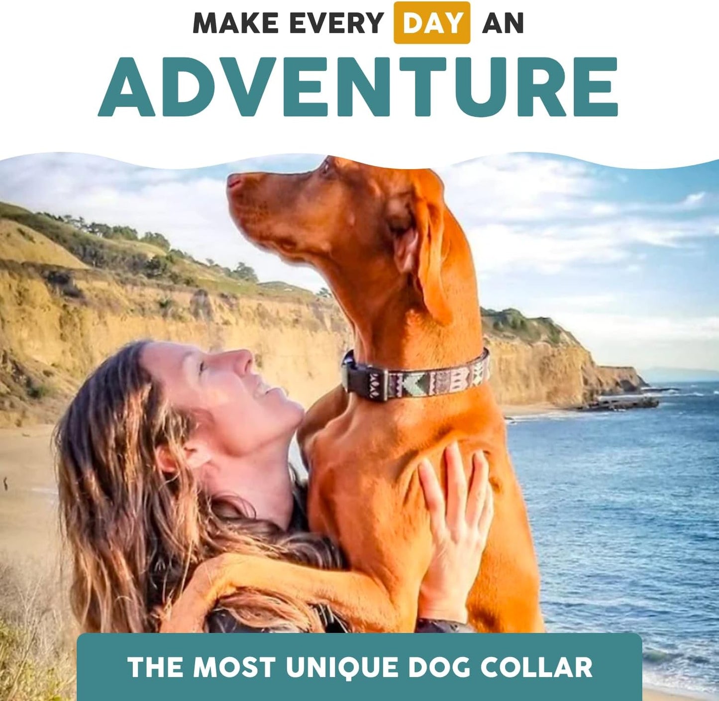 Nylon Dog Leashes for Small/Medium Dogs