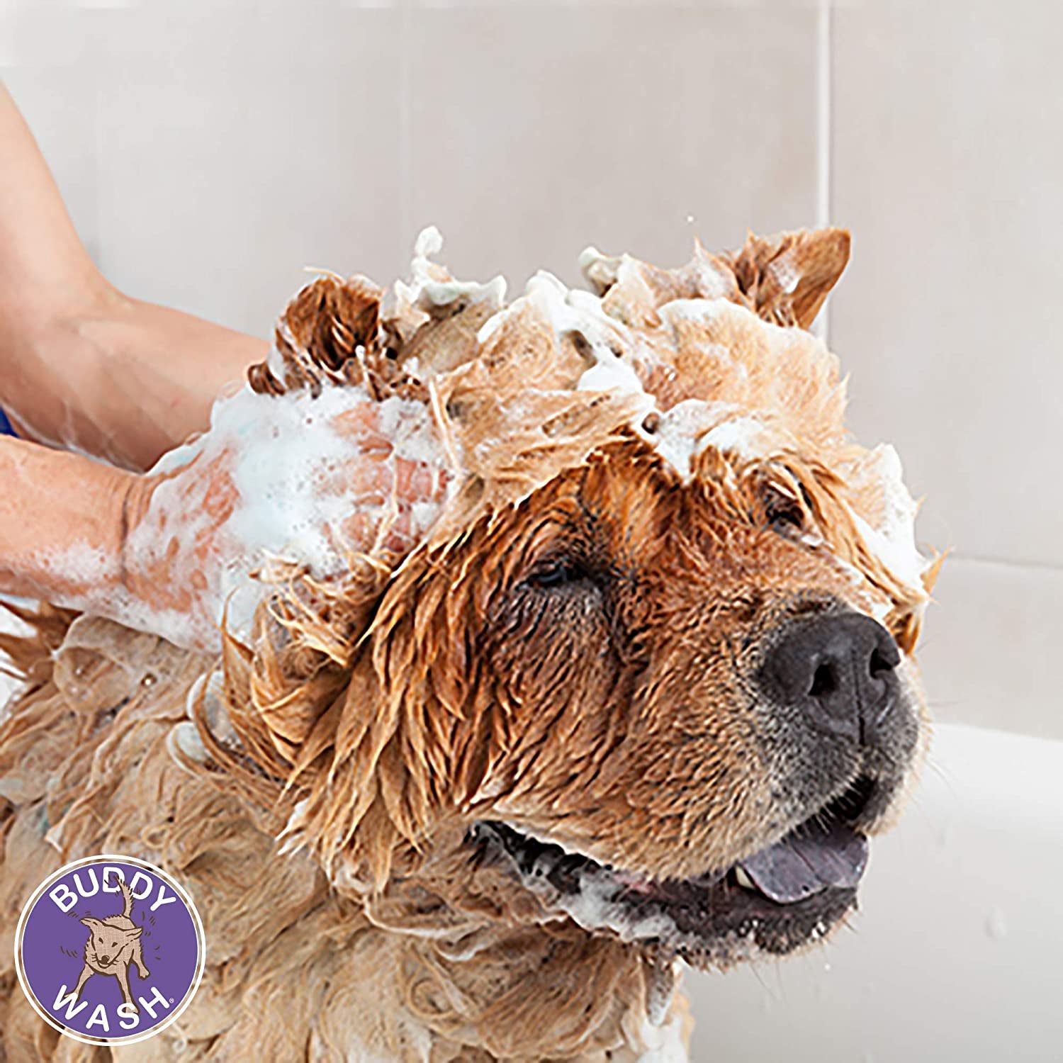 Buddy Wash 2-In-1 Dog Shampoo and Conditioner Lavender & Mint, 1 Gal. Bottle