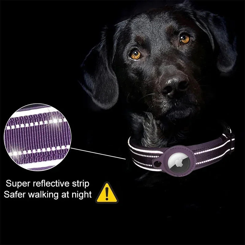 Apple Airtag Dog Collar 