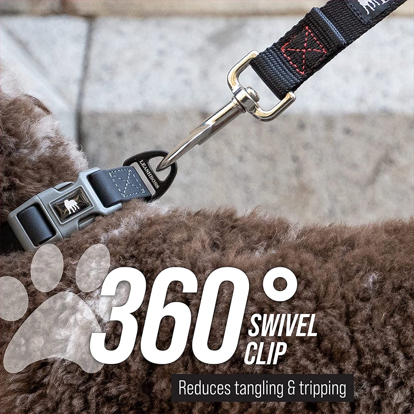 Dog Leash Training Loop