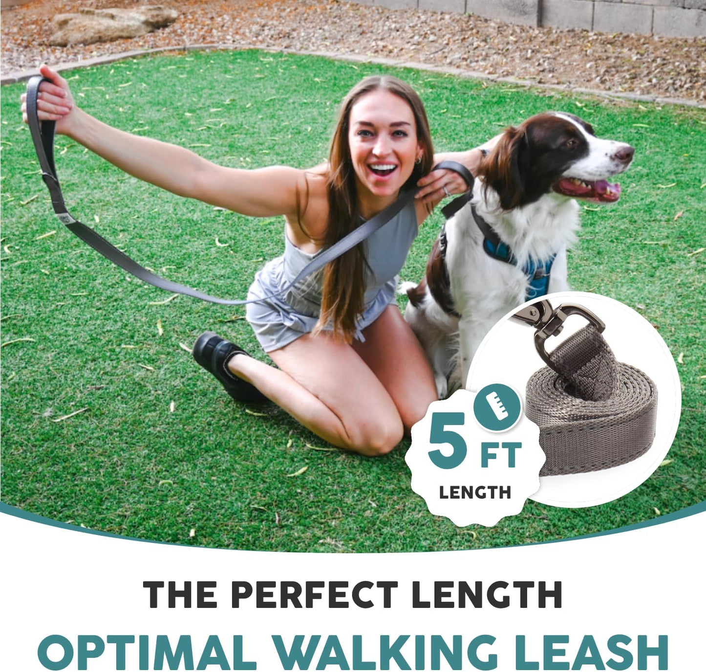 Nylon Dog Leashes for Small/Medium Dogs