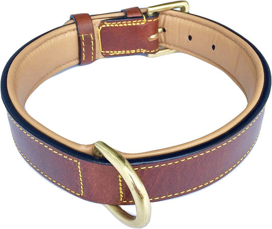 Leather Padded Dog Collar For Large Dogs