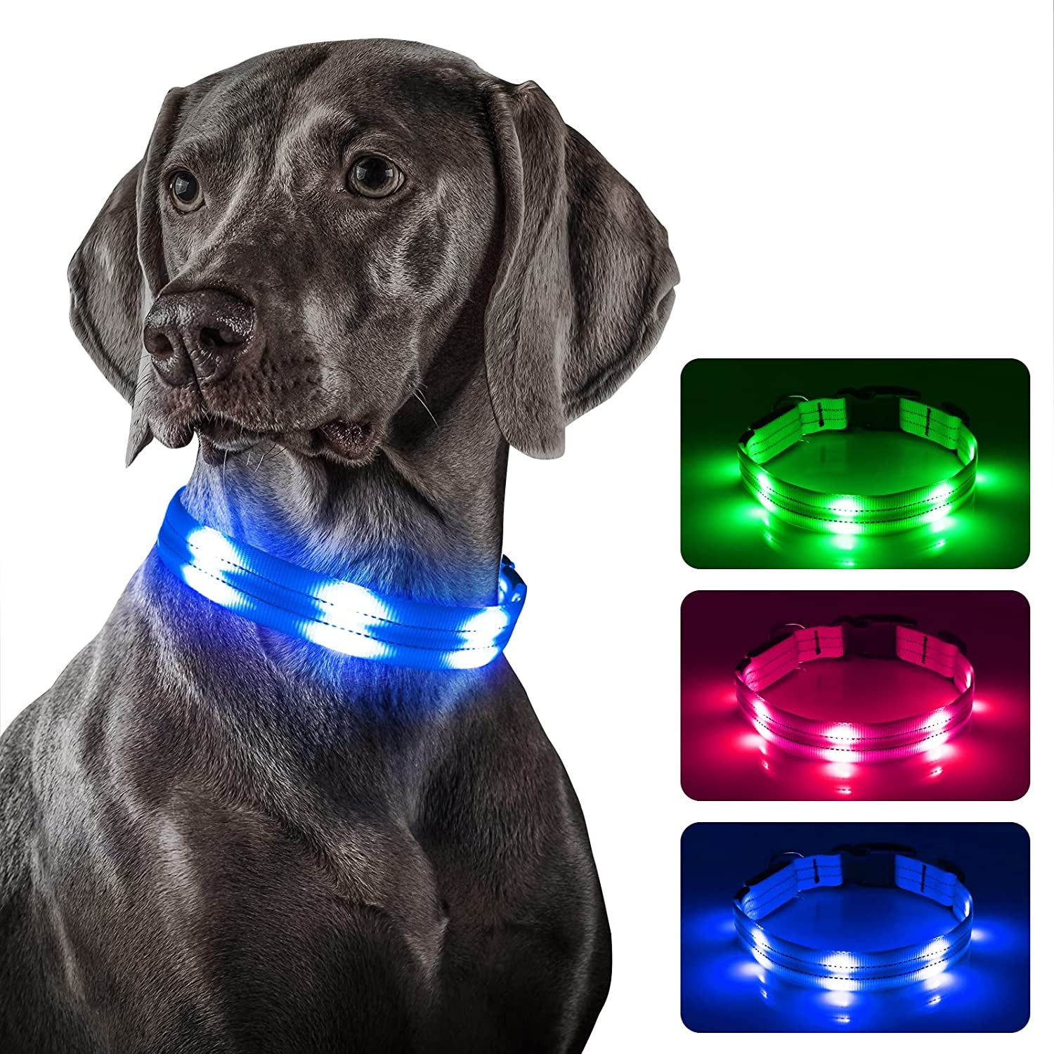 Rechargeable Light Up Dog Collar