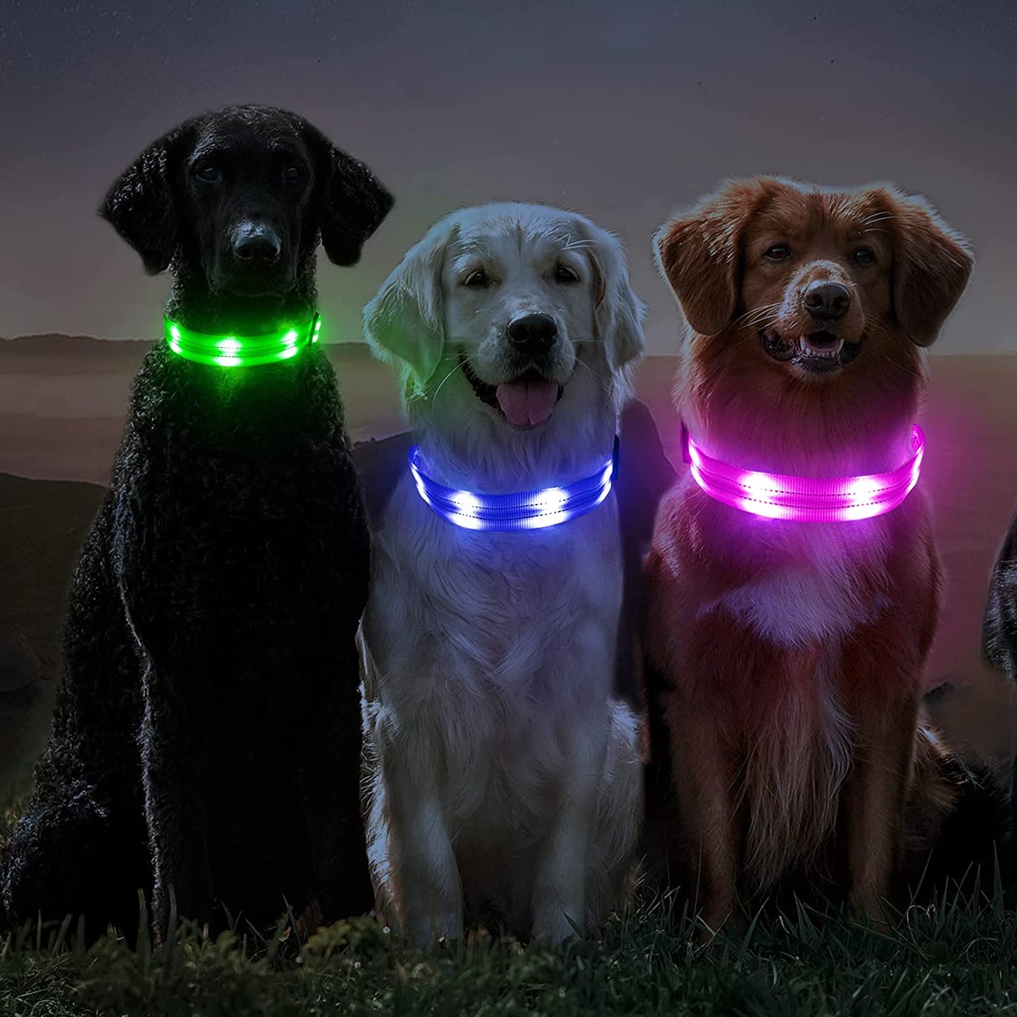 Rechargeable Light Up Dog Collar