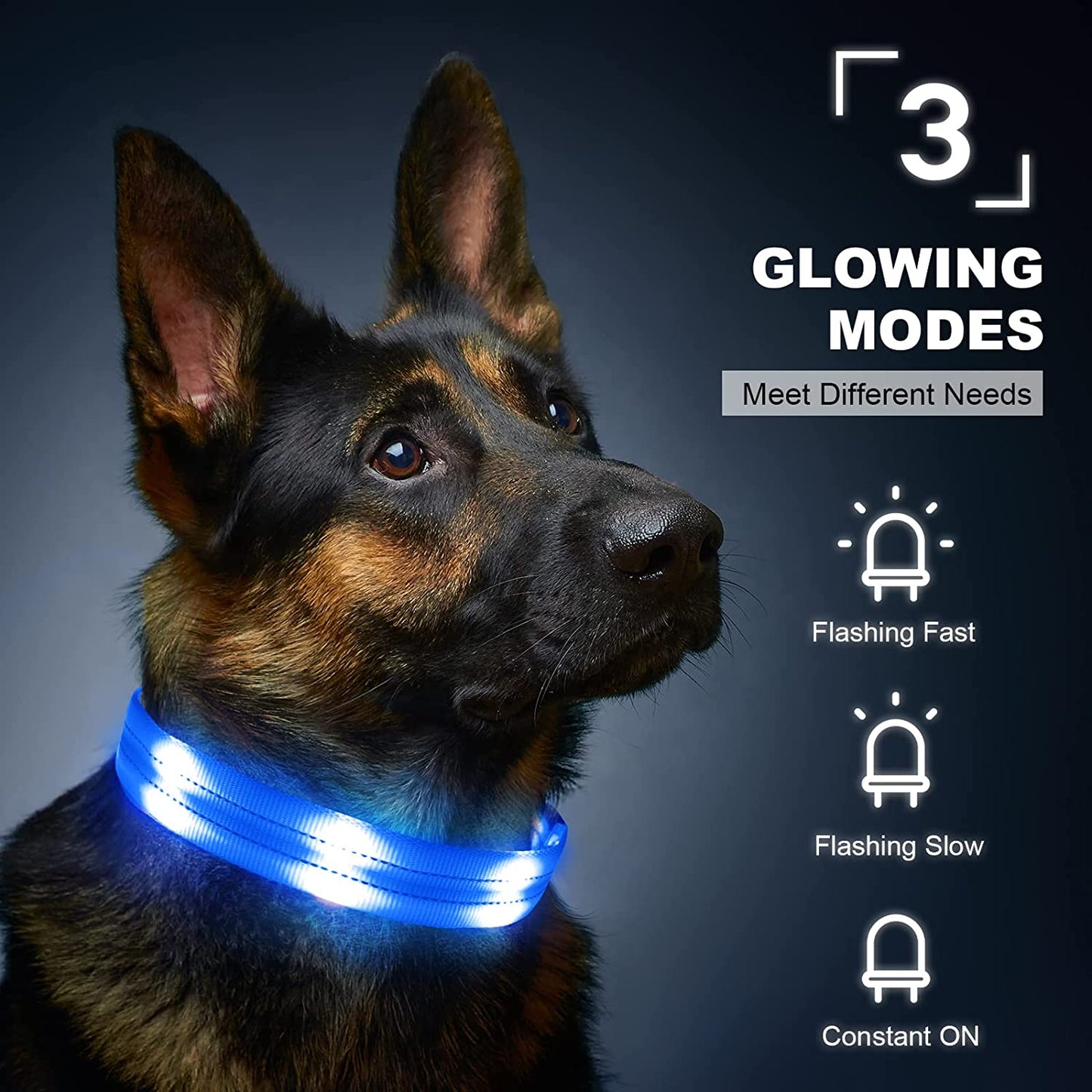 Rechargeable Light Up Dog Collar