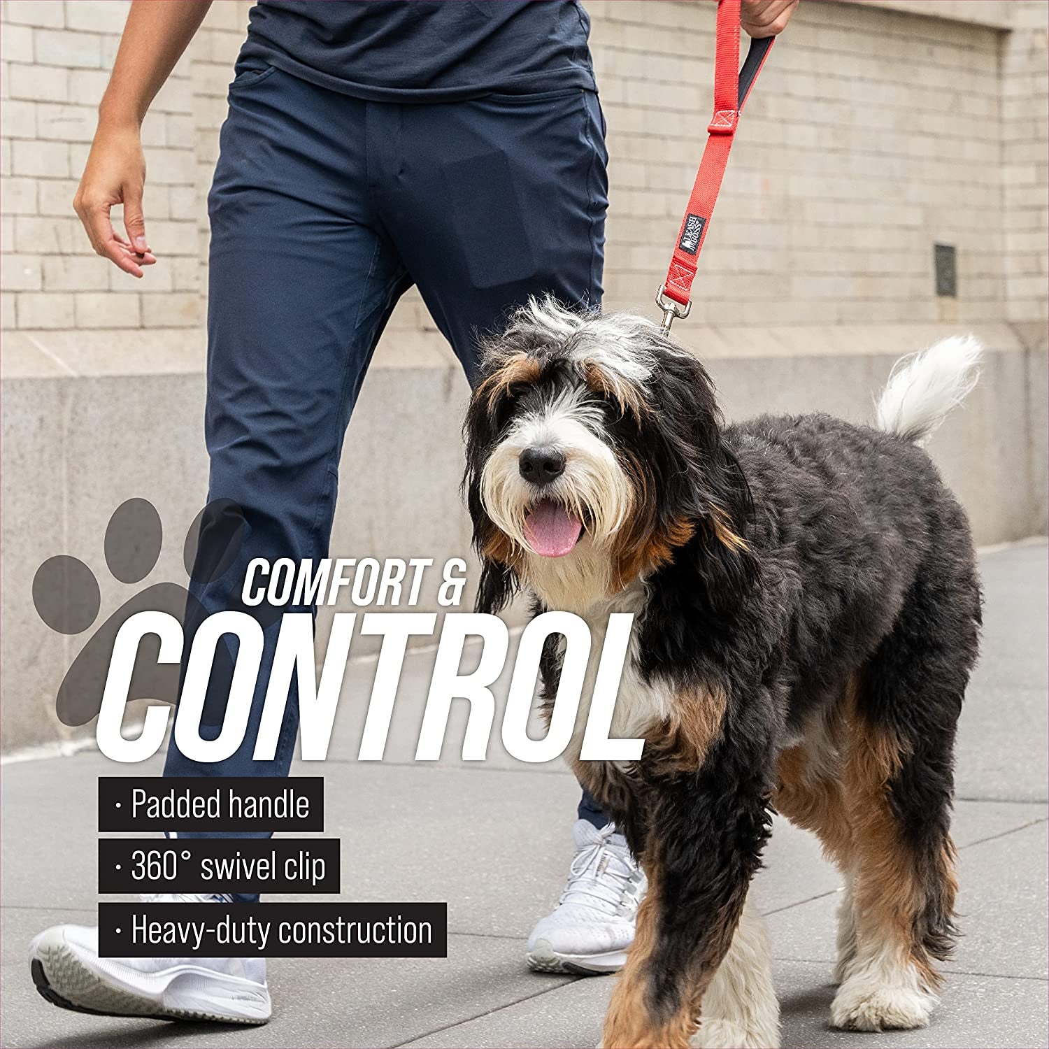 Dog Leash Training Loop