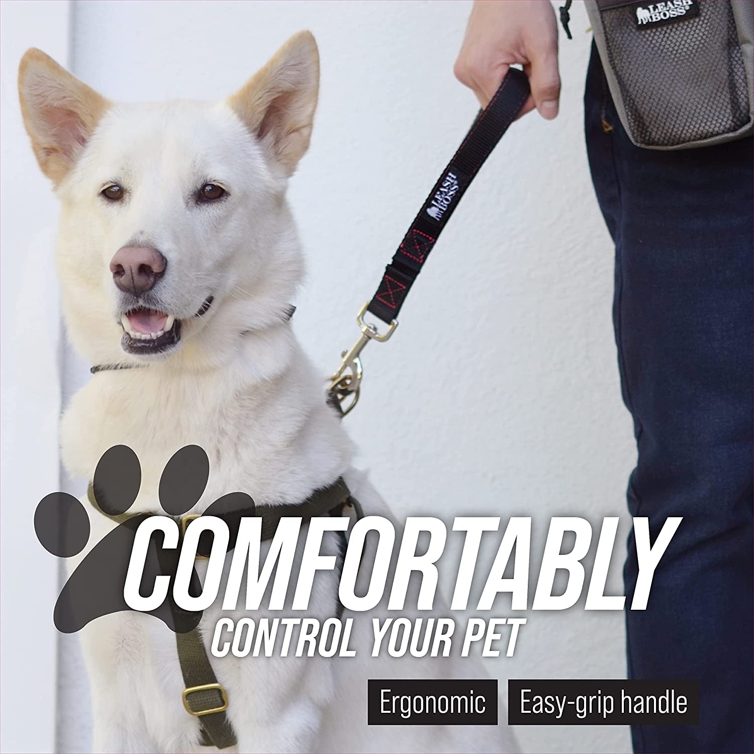 Dog Leash Training Loop