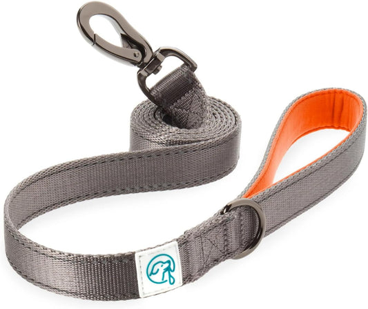 Nylon Dog Leashes for Small/Medium Dogs