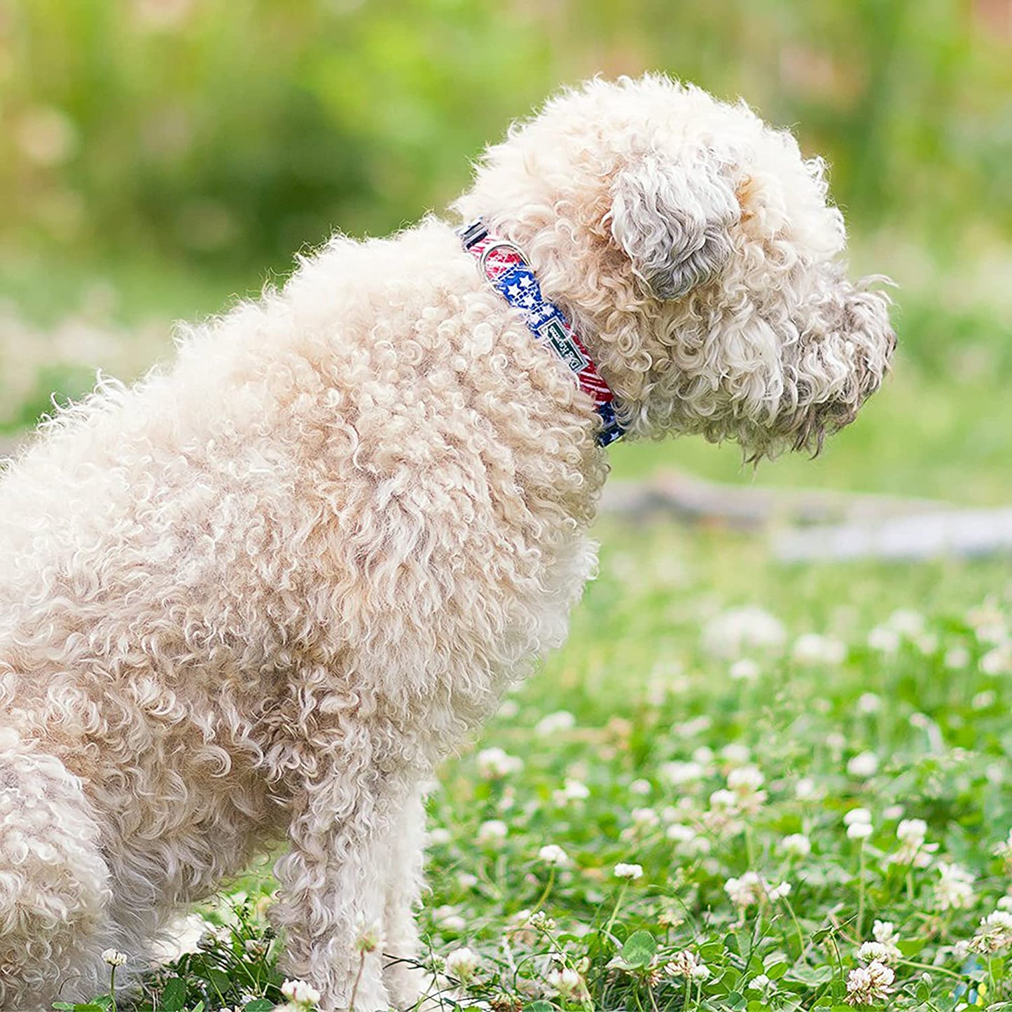 American Flag Dog Collar