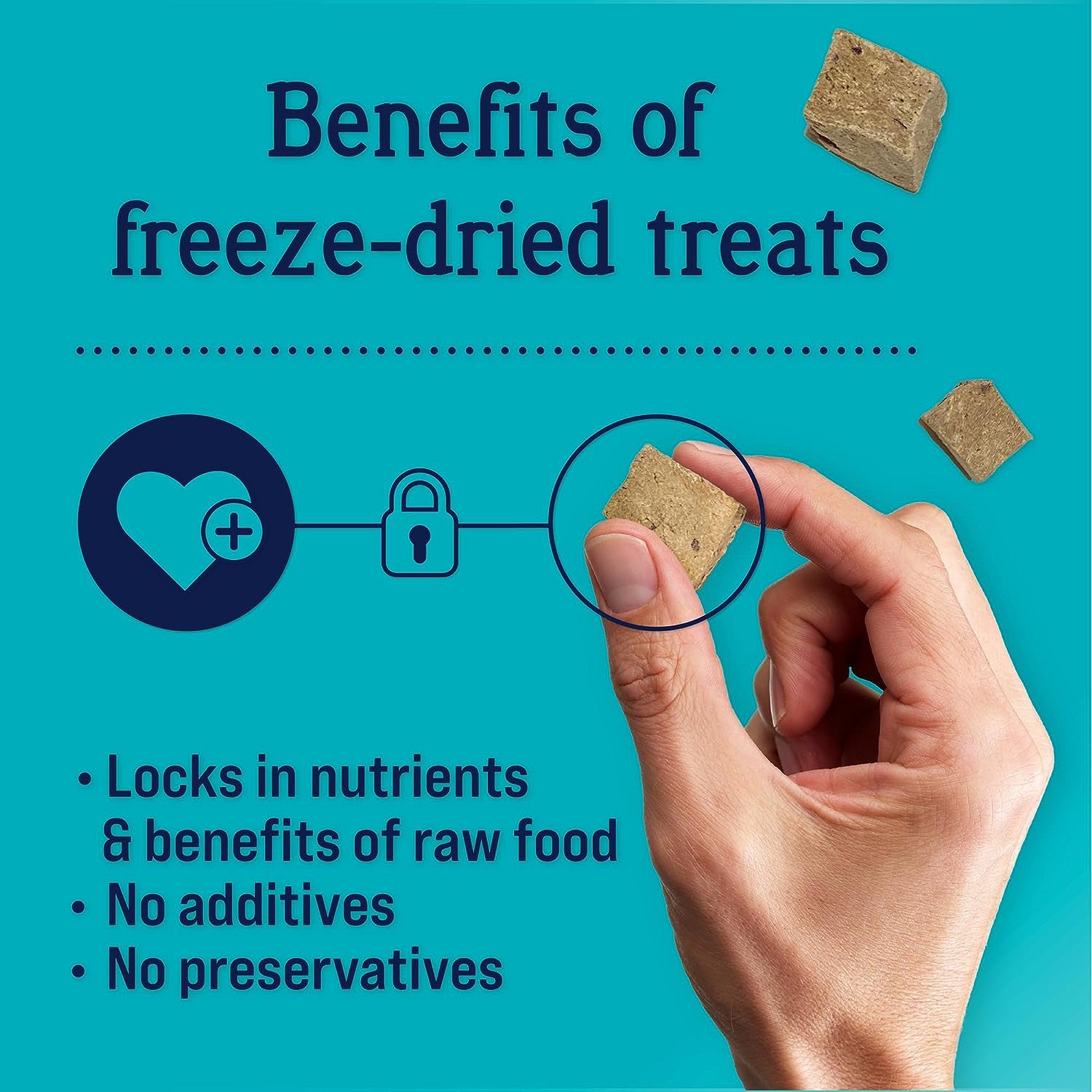 Freeze Dried Dog Treats, Beef Liver, Grain Free & Gluten Free, 14 Ounce Resealable Tub, Single Ingredient, Made in USA, Dog Training Treats