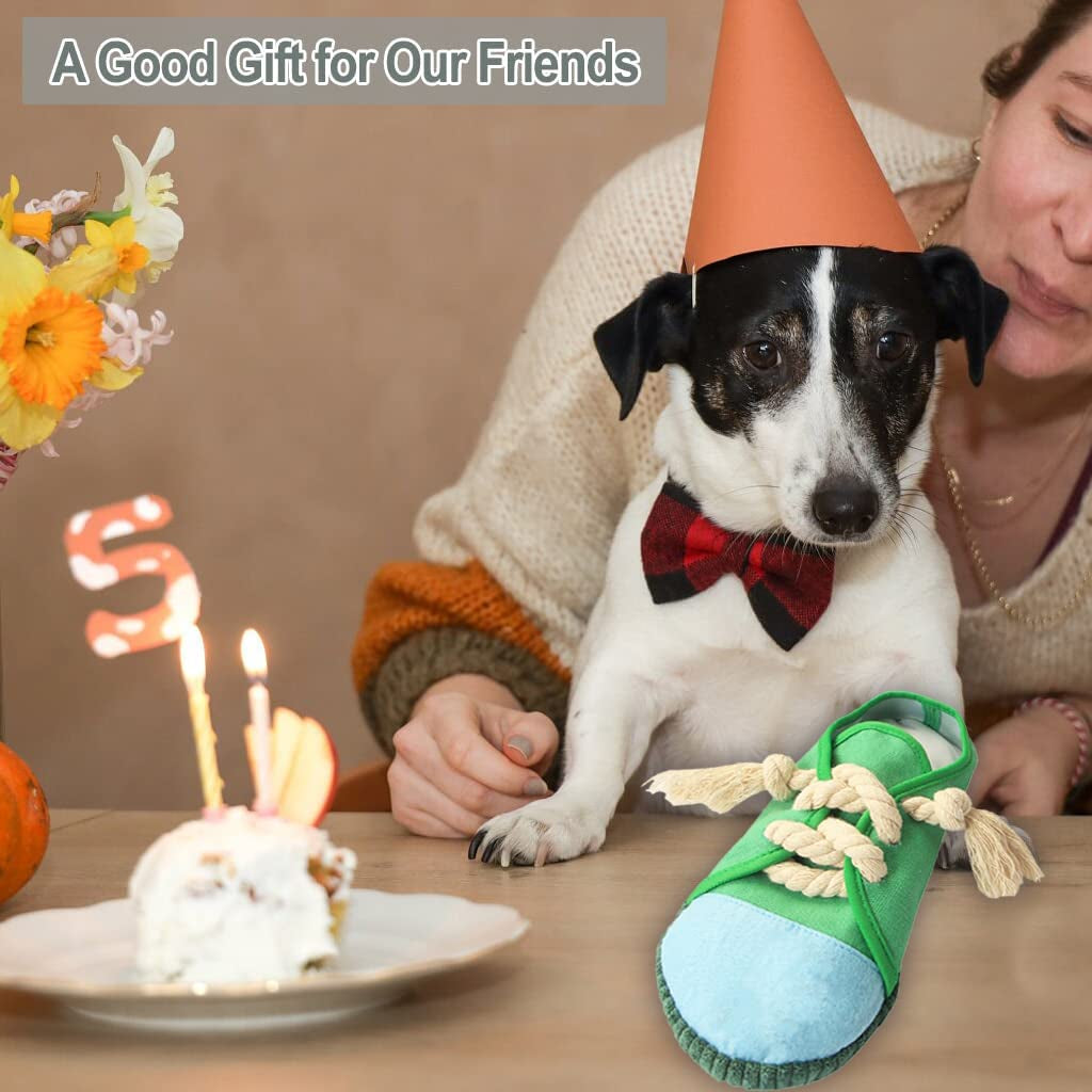 Squeaky Shoe Chew Toy