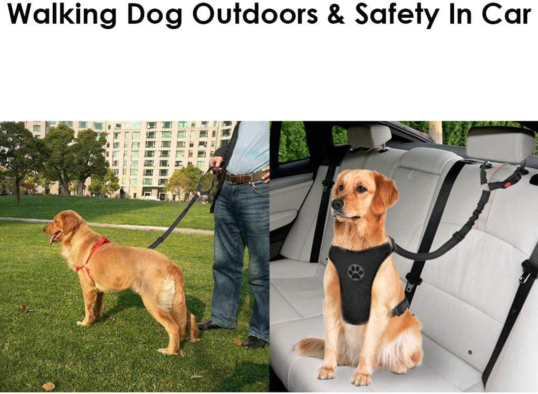 Dog Seat Belt, 2 Pack Pet Car Seatbelt Headrest Restraint